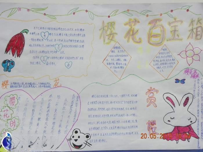 樱花百宝箱手抄报图片