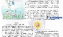 美丽人生手抄报图片-新星日报