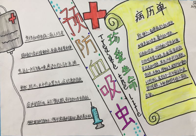 预防血吸虫病手抄报图片