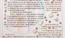 心灵世界手抄报版面设计图