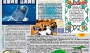 远离网瘾手抄报版面设计图