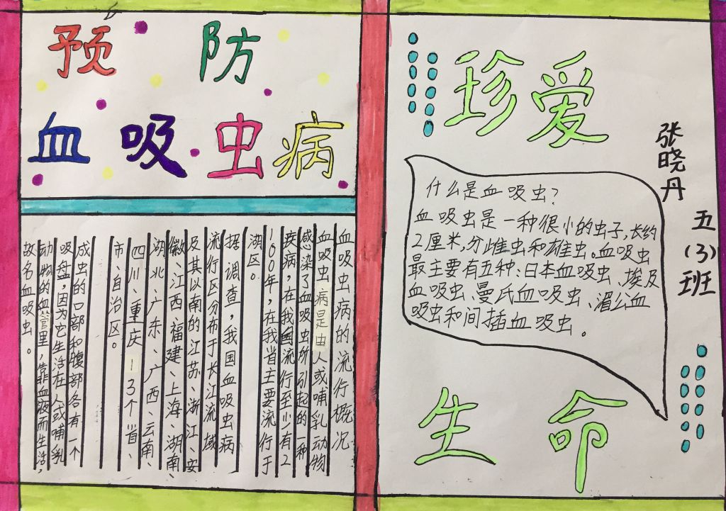预防血吸虫病手抄报图片