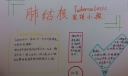 简单漂亮的肺结核手抄报