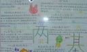 普及九年义务教育手抄报