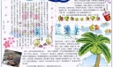 小学生手抄报:让快乐飞翔