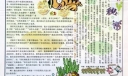 信任的快乐手抄报图片