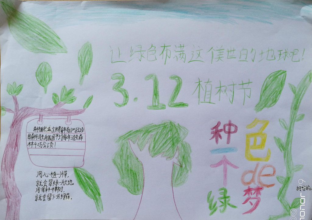 2022植树节手抄报大全，让绿色不慢这个美丽的地球！