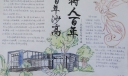 百年沙高树人百年手抄报