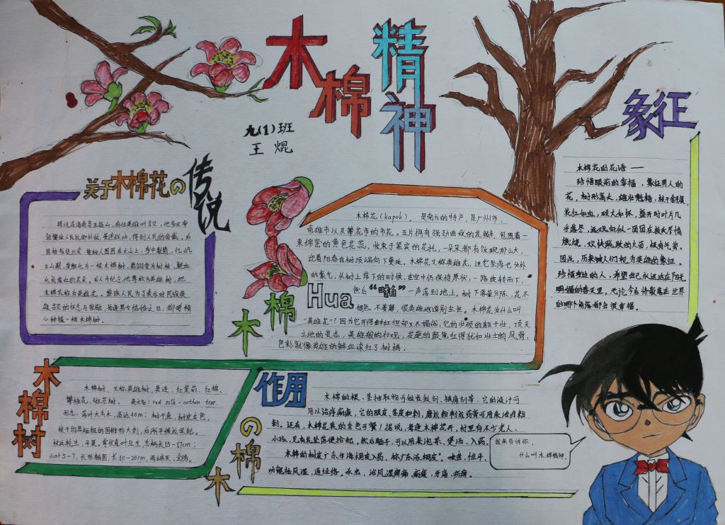 木棉精神手抄报-精品推荐