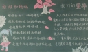 我们的童年手抄报图片