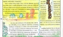 伊甸园手抄报图片