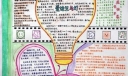 走向光明手抄报图片