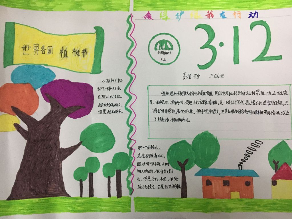 爱护树木守护家园手抄报