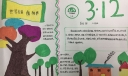 爱护树木守护家园手抄报