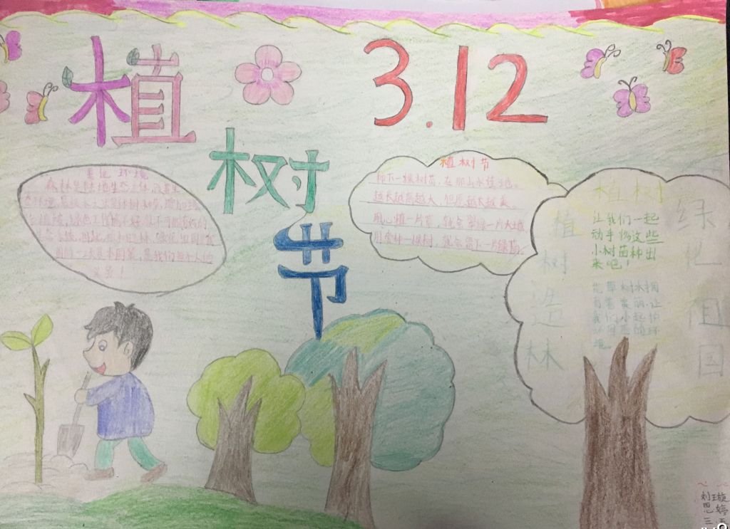 爱护树木守护家园手抄报