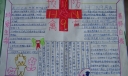 预防H7N9手抄报图片