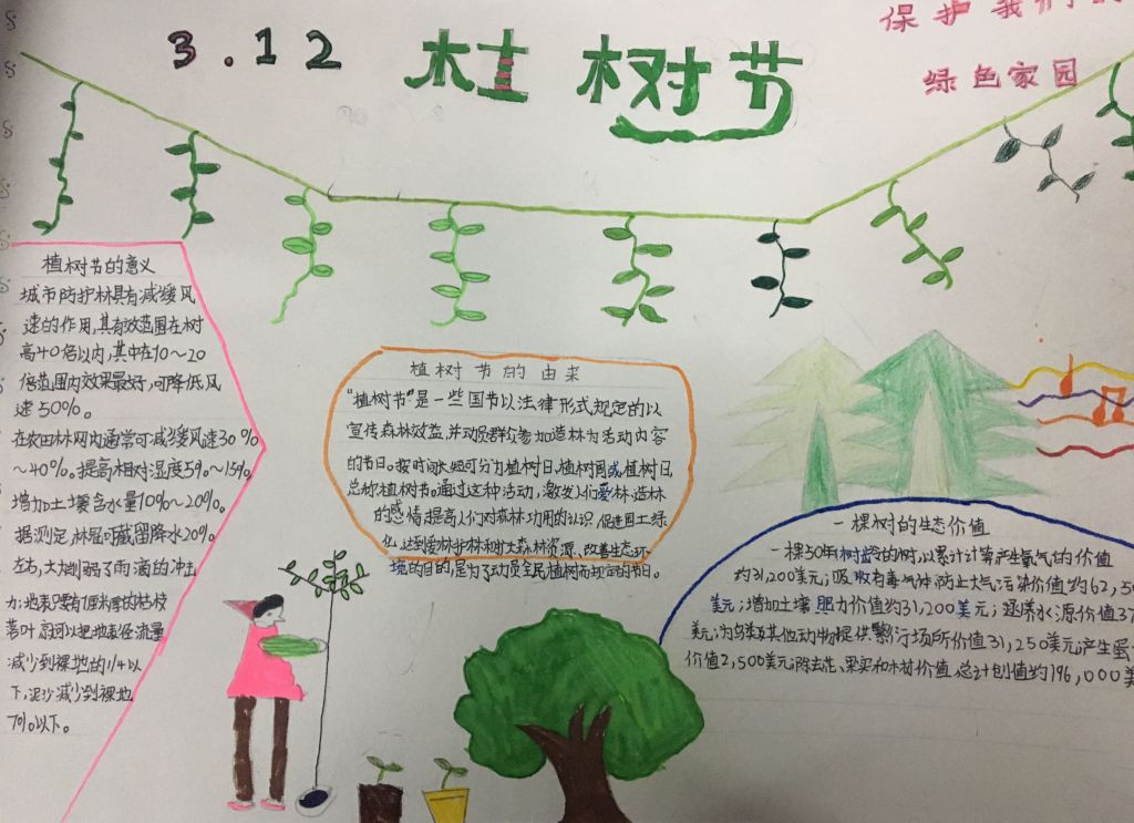 爱护树木守护家园手抄报