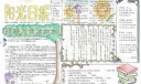 最漂亮的手抄报-阳光日报