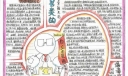 心灵鸡汤手抄报图片