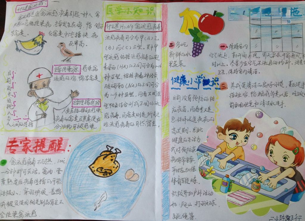 预防H7N9禽流感手抄报