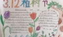 呵护绿色守护地球—2022植树节手抄报作品展