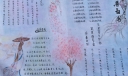 美丽中学生手抄报图片展