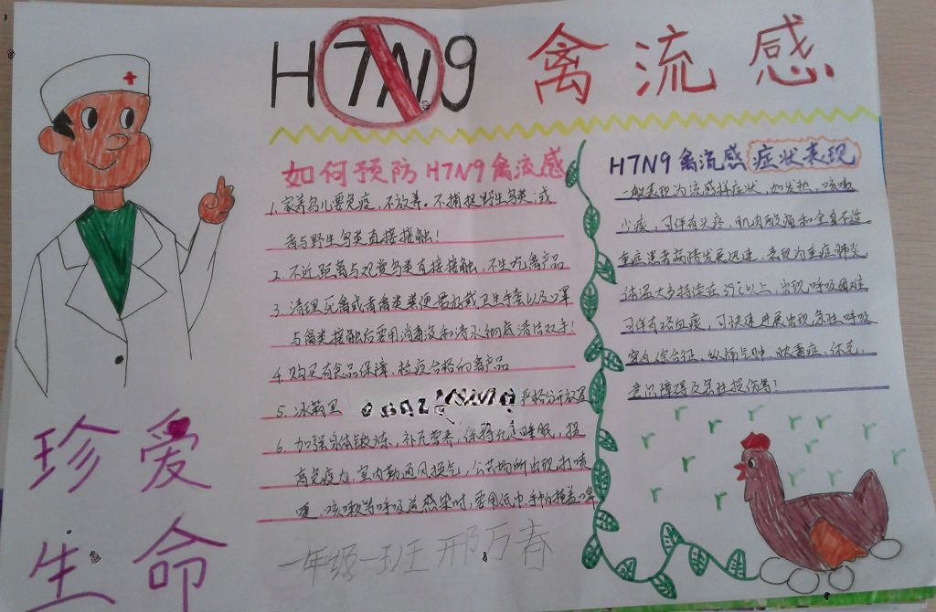 小学生H7N9手抄报大全