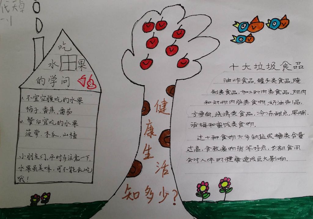 营养健康膳食平衡手抄报