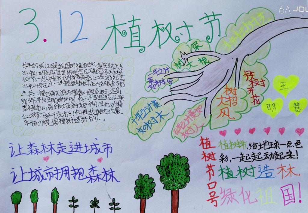 2022植树节手抄报大全，让绿色不慢这个美丽的地球！