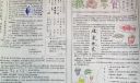 关于零食的手抄报图片