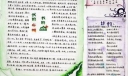流光碎影手抄报