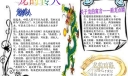 龙的传人手抄报图片