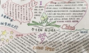 学生资助手抄报图片展，立爱国之举树资助之行