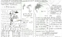 高中生活手抄报图片-黑白版