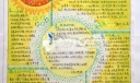追逐阳光手抄报版面设计图