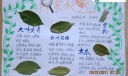五年级秋天手抄报