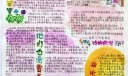 黎明手抄报版面设计图