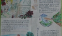 和谐健康发展手抄报