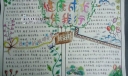 健康伴我成长手抄报版面设计图