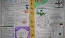 依法纳税 共奔小康手抄报作品