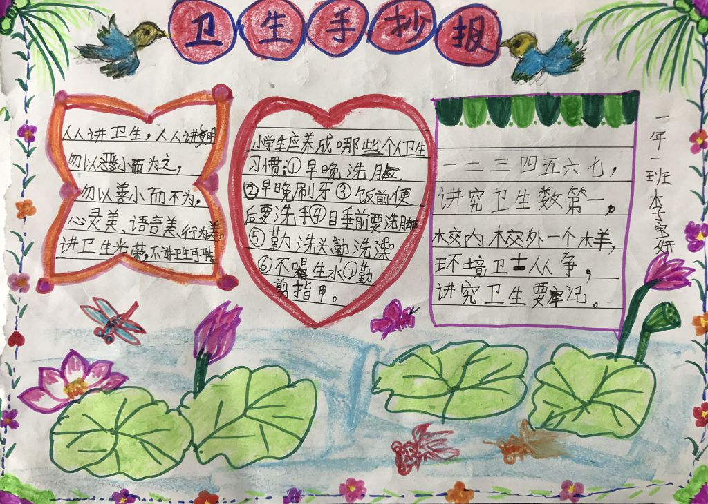 爱国卫生从我做起手抄报