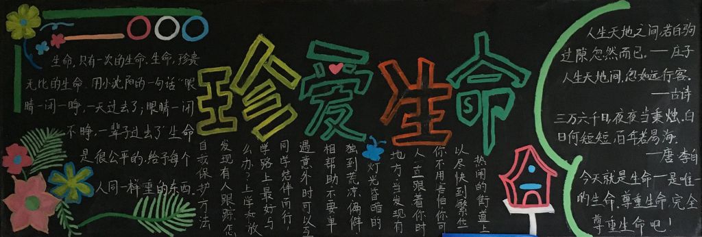 珍爱生命绽放精彩黑板报