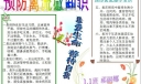 禽流感知识手抄报