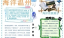 海洋温州手抄报图片