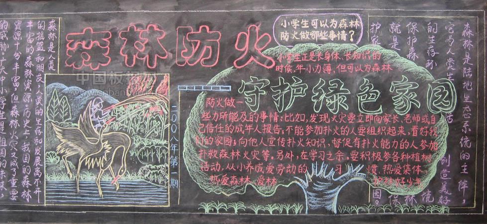 森林防火守护绿色家园黑板报
