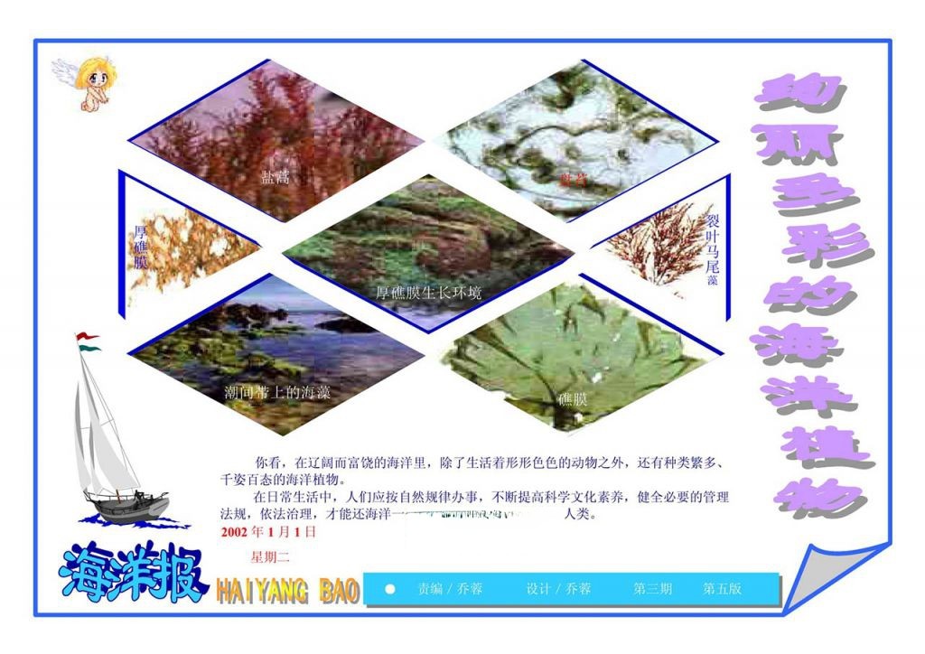 海洋手抄报：绚丽多彩的海洋植物