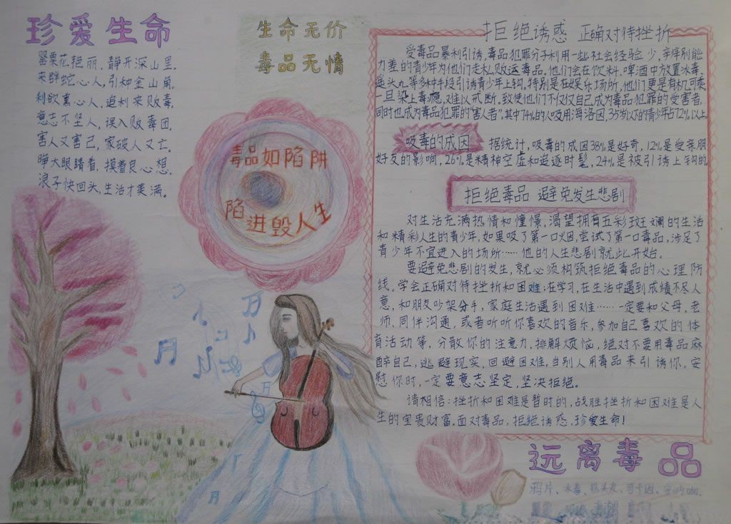 生命无价毒品无情手抄报