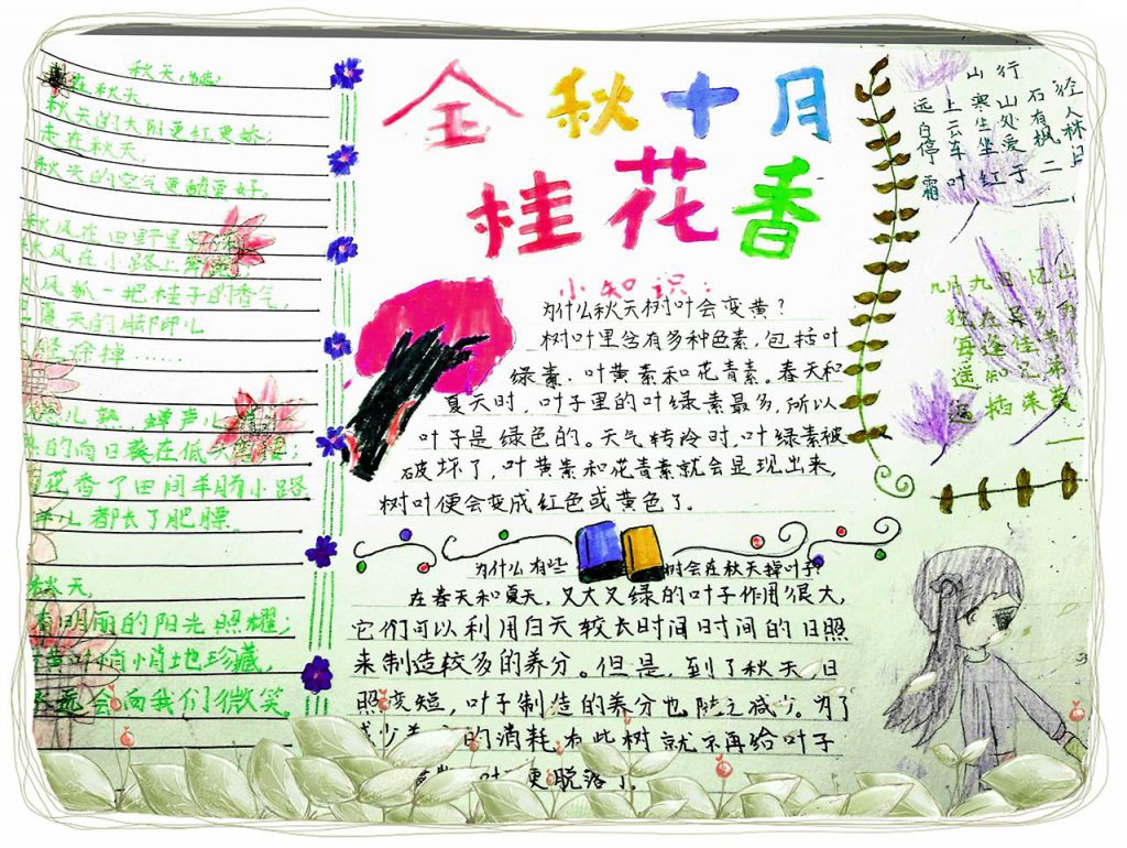 金秋十月桂花香手抄报