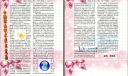 信息手抄报图片、内容及word文件