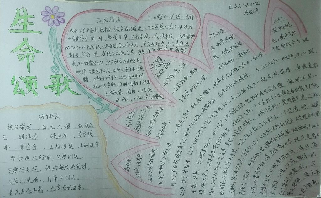 第二单元整理复习手抄报